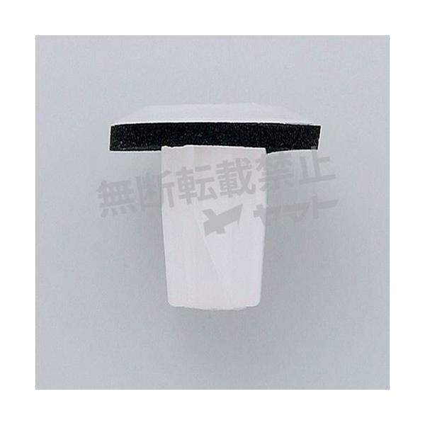 ԗp Nbv 10 gpӏ gNtAg