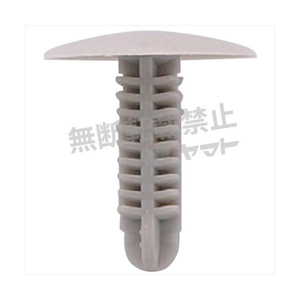 ԗp Nbv 10 gpӏ [tg