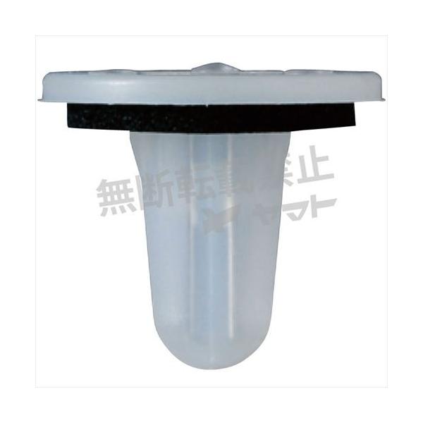 ԗp Nbv 10 gpӏ Av