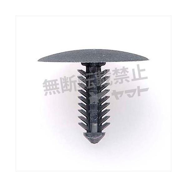 ԗp Nbv 10 gpӏ gNgC