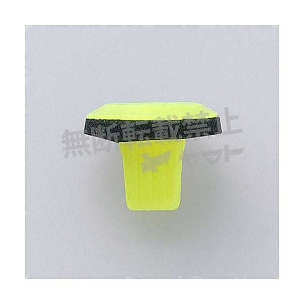 ԗp Nbv 10 gpӏ hANbt