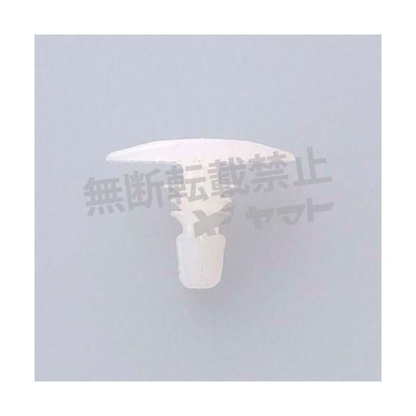 ԗp Nbv 10 gpӏ {lbgNbv