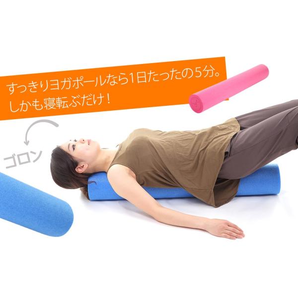 送料無料 すっきり ヨガ ポール ストレッチ ポール 効果 腰痛 肩こり 今なら のびーるストレッチ 980円 もれなく 1個 プレゼント中 Buyee 日本代购平台 产品购物网站大全 Buyee一站式代购 Bot Online