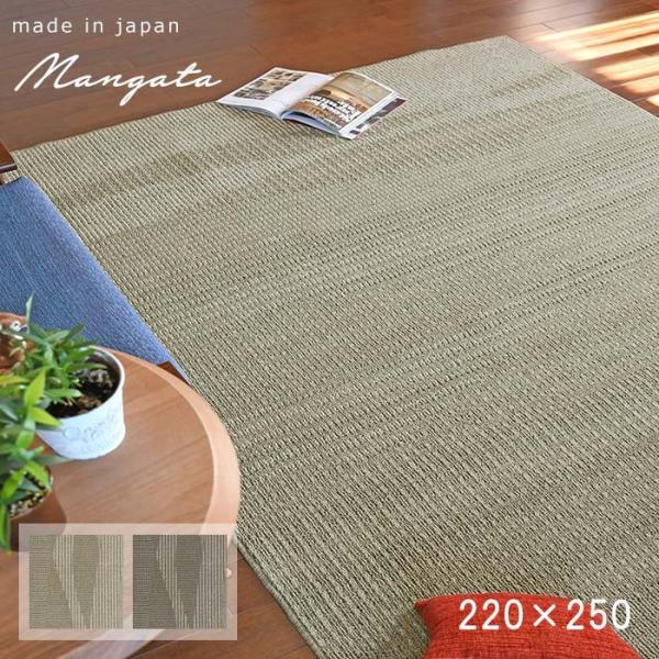 絨毯　スミノエ　モーンガータ19AW グレー　2畳　ラグ　カーペット Amazon｜スミノエ(Suminoe) ダイニングラグ グレー 170×220cm 防ダニ