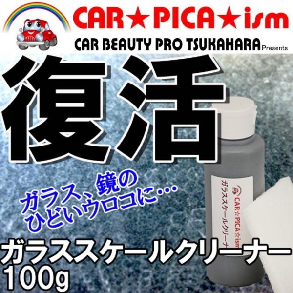 KXXP[N[i[ 100g JW~  Ɩp EChE KX N[i[ ER XP[