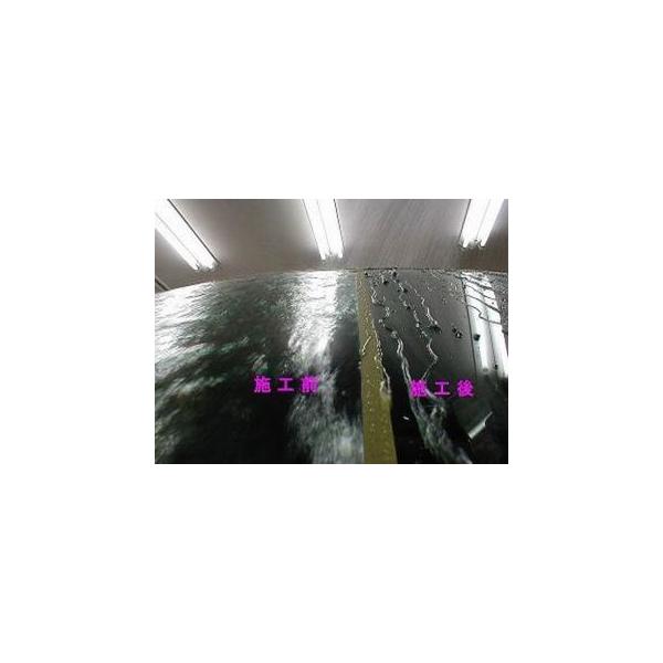 撥水コーティング フロントガラス撥水コート 車撥水コートガラス ガラス磨き 業務用カーピカル フッ素 ガラスコーティング剤 セット 100ml Buyee Buyee 提供一站式最全面最專業現地yahoo Japan拍賣代bid代拍代購服務 Bot Online