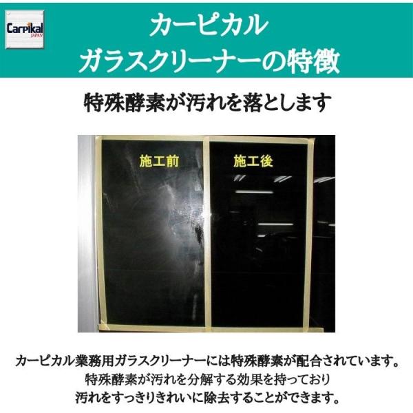ヤニ 手垢 車内 内窓 清掃 ぎらつき 内装 クリーニング 油分 除去 脱脂 ウインド プロ用 アルコール 業務用ガラス クリーナー 500ml Buyee Buyee Japanese Proxy Service Buy From Japan Bot Online