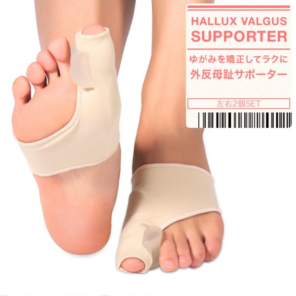 O΍pi OT|[^[ VRpbh wی tbgPA 䂪݋ EZbg {X֑ PK2-36