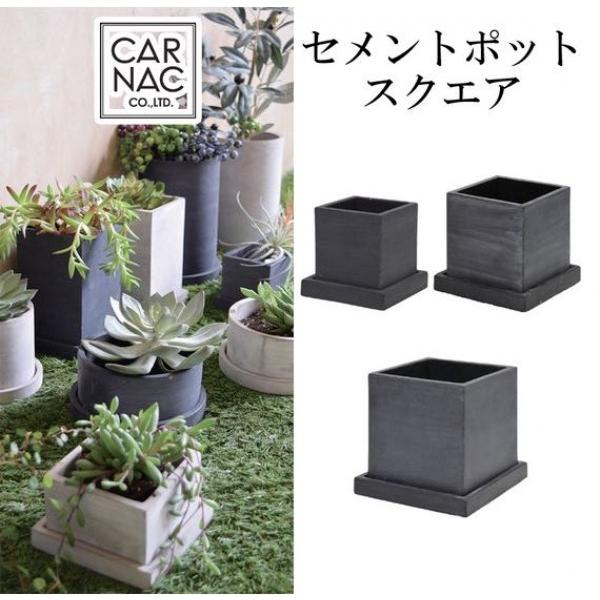 2 5号 セメントポットスクエア Sサイズ ミニサボテンや多肉植物に Cr Wj04bk Casa I E Terior 通販 Yahoo ショッピング
