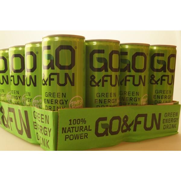 Go Fun Green Energy Drink 250ml 24本 ゴー ファン グリーンエナジードリンク 1314 Cascaderocks Yahoo 店 通販 Yahoo ショッピング
