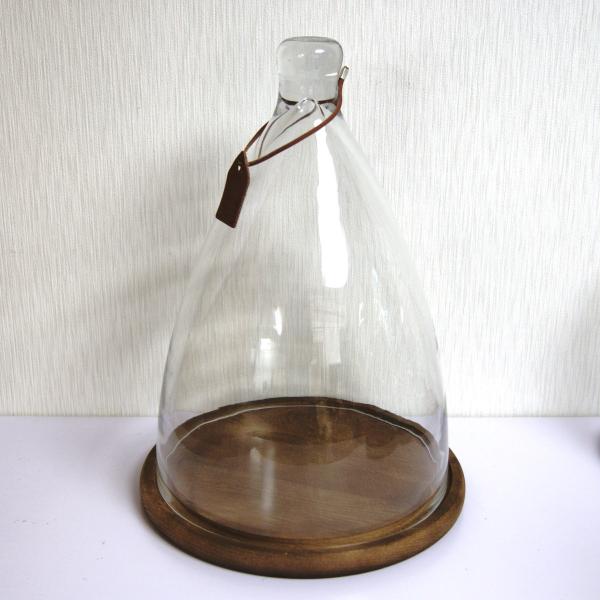 case-shop_dome-dl case-shop_dome-dl