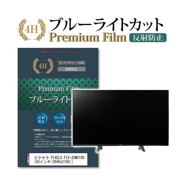 sNZ PIXELA PIX-43MX100 @Ŏg u[CgJbg ˖h~ wh~ t ی tB ݊i