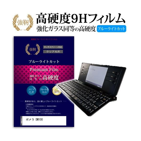 �|���� DM100 ���� �K���X�t�B���� �� ������ ���d�x9H �u���[���C�g�J�b�g ����^�C�v ������ �t�� �ی� �t�B���� �݊��i