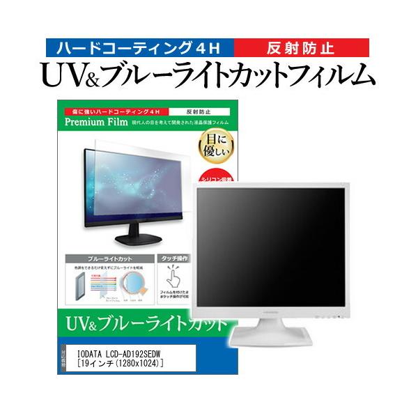 IODATA LCD-AD192SEDW  19�C���` �@��Ŏg���� �u���[���C�g�J�b�g ���˖h�~ �w��h�~ �t�� �ی� �t�B���� �݊��i