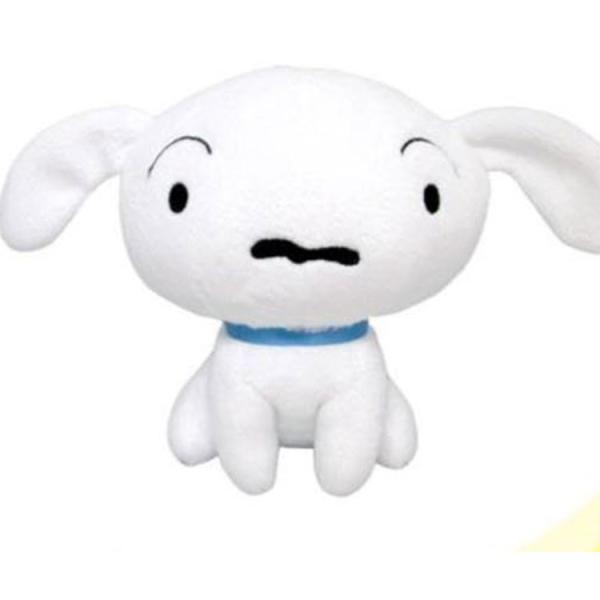 N񂿂 ʂ r V [904317]