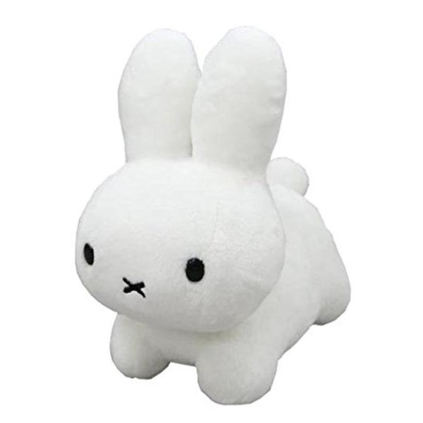 u[it@~[ ʂ rr ETM zCg [660988]