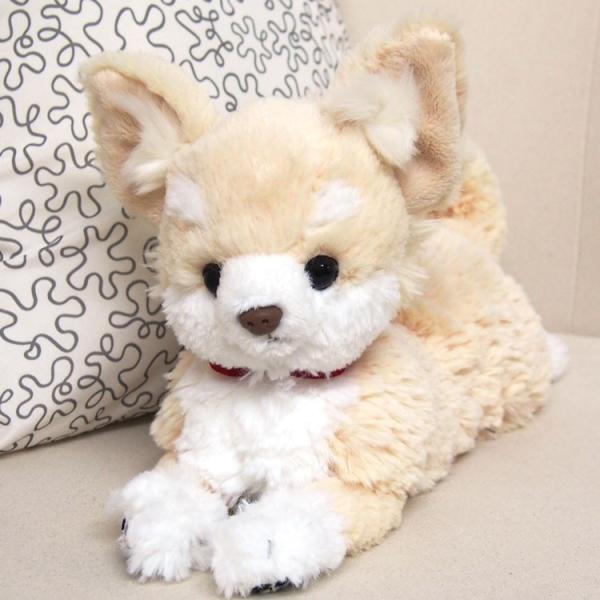 ひざわんこ チワワ CR [043002] : キャラクター雑貨 ラフラフ - 通販