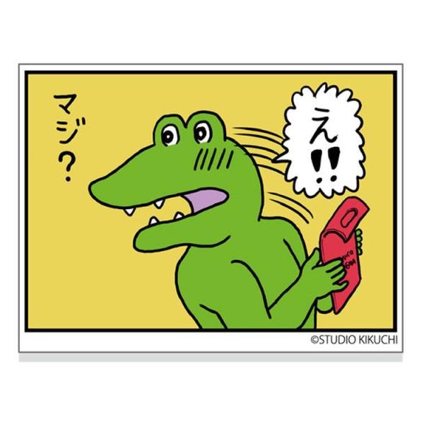 100Ɏʃj XebJ[ V[3 @bsOs