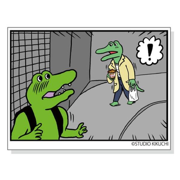 100Ɏʃj XebJ[ V[12 @bsOs