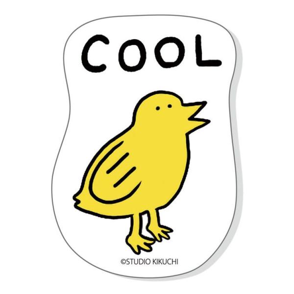 100Ɏʃj XebJ[ COOL @bsOs