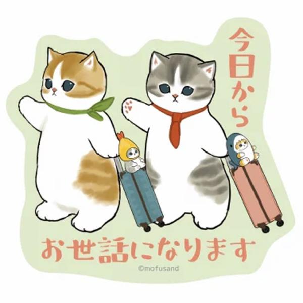 cast-shop_nis8953369