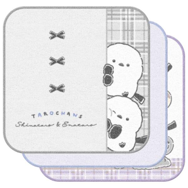 たろちゃんず 3枚組ミニタオル しまたろず プチタオル タオルハンカチ