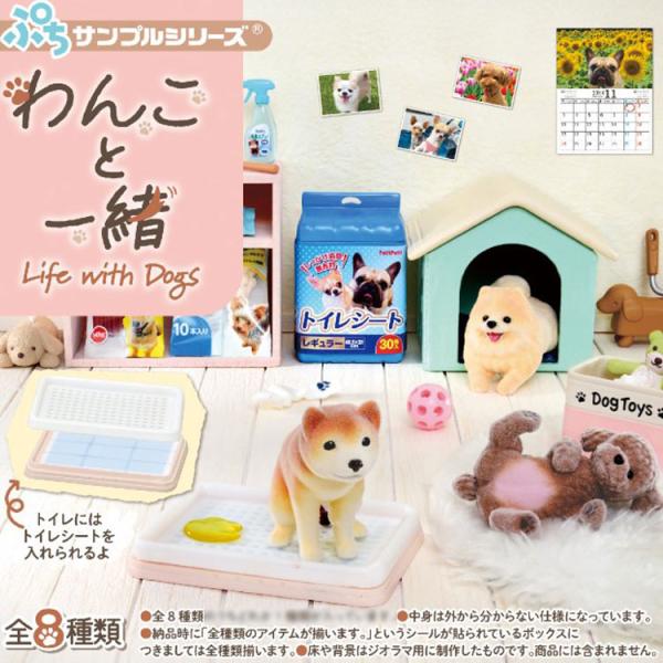 1BOX 8個入り ぷちサンプル わんこと一緒 犬 ペット用品 リーメント 箱