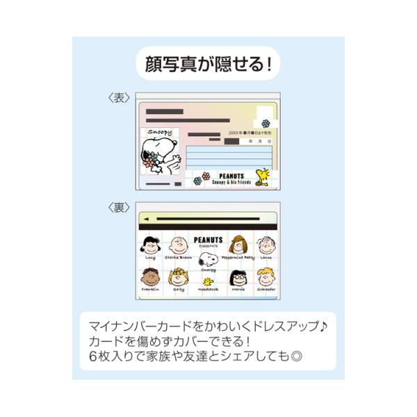 cast-shop_pc07ps262_2_d_20260309122942