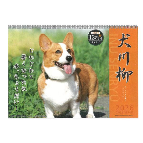 コーギー川柳 2026年カレンダー 1000136870 壁掛け リング 174222