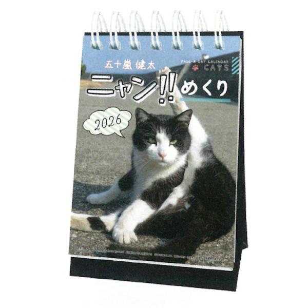 ニャン!!めくり 2026年カレンダー 1000136880 卓上 五十嵐健太