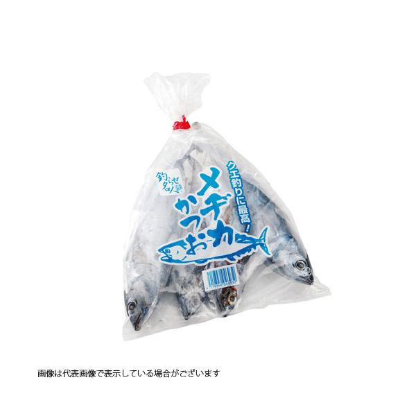 冷凍品 メジカ カツオ幼魚 小型 釣り 餌 つりえさ 海上釣り堀 身エサ クエ アラ 青物 釣具のキャスティング2号店 通販 Yahoo ショッピング