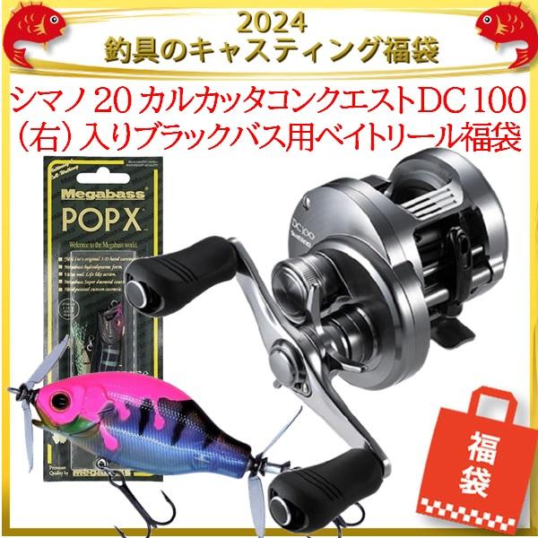 シマノ 20 カルカッタコンクエスト DC 100(右) 入りブラックバス用  