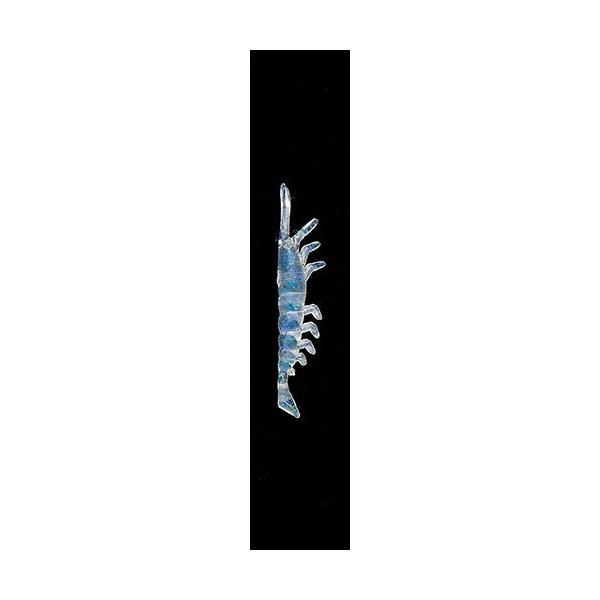 }A [oP2 Gr M K ^RxCg