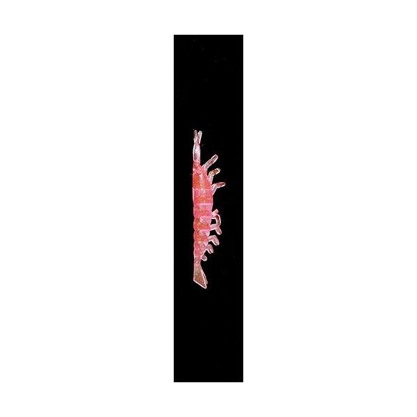 }A [oP2 Gr M P ^RxCg