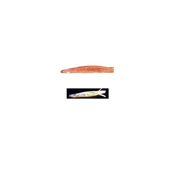 }V^ pjbNxCg o 1.5 MB06 GOS ^RxCg