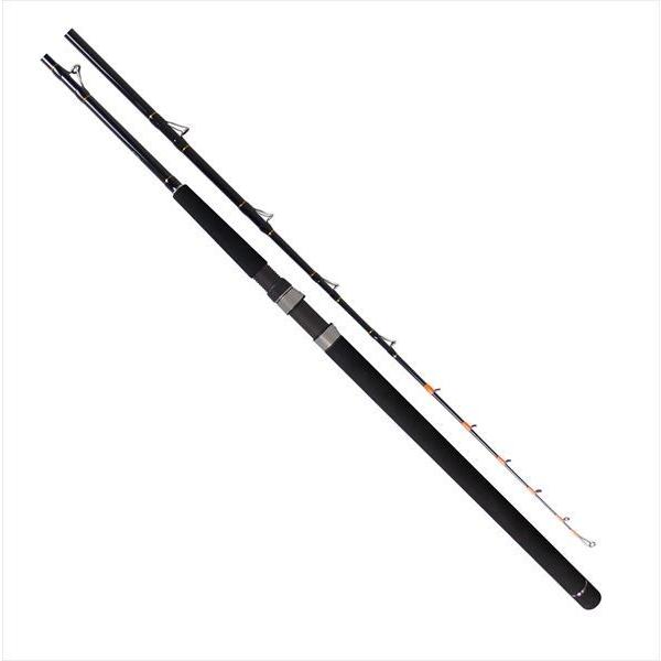 イカ釣りロッド NAVIGATER IKA 170H 船竿 120~300g アマノ釣具 船イカ竿 ZEALOT NAVIGATER IKA 170H(スピニング・1