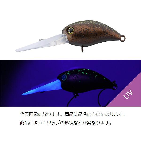 JACKALL（ジャッカル） TIMON ティモントラウトプラグ パニクラ