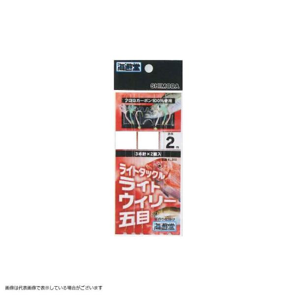 ylR|XΏەizc KL300 CgEB[ܖ 3×2 3-3 2m d|