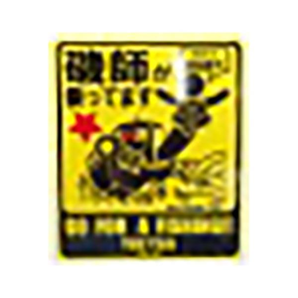 yzFu YOUESHI{ XebJ[T3 11x13 crg