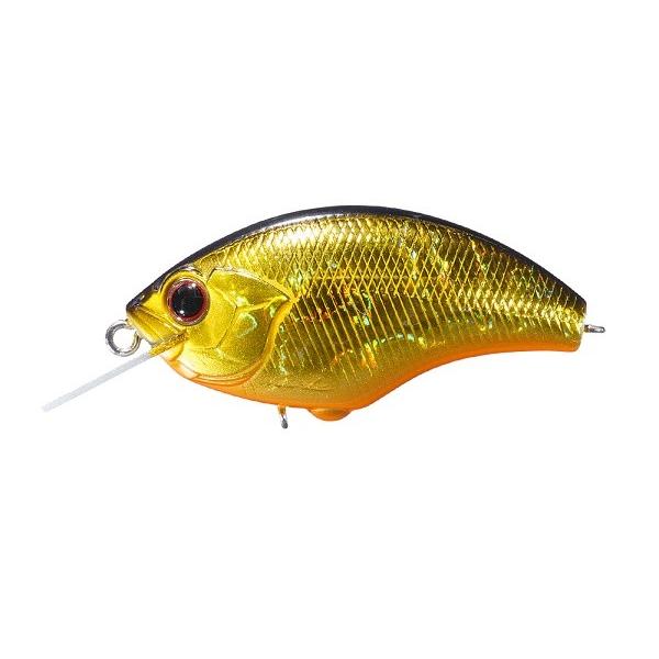 ylR|XΏەiznro@akhsy@iubcjgOS@IWx[