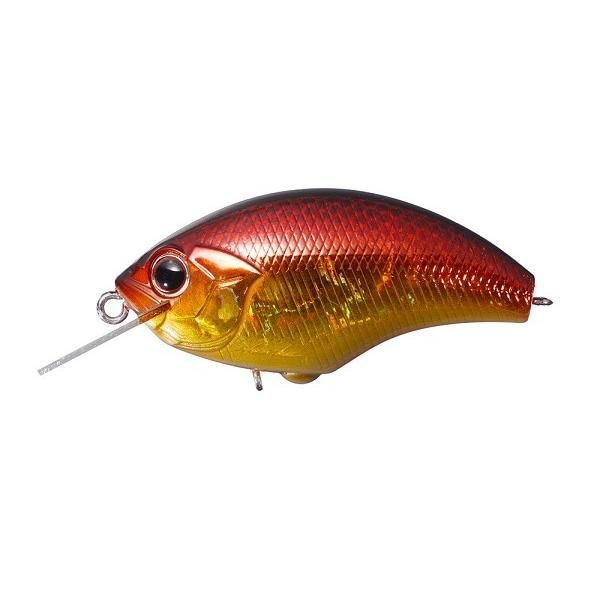 ylR|XΏەiznro@akhsy@iubcjrgSW@S[ht@C[