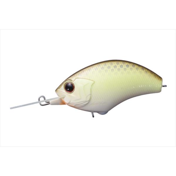 nro@akhsy|lqiubcj@nj[x_[@oWX