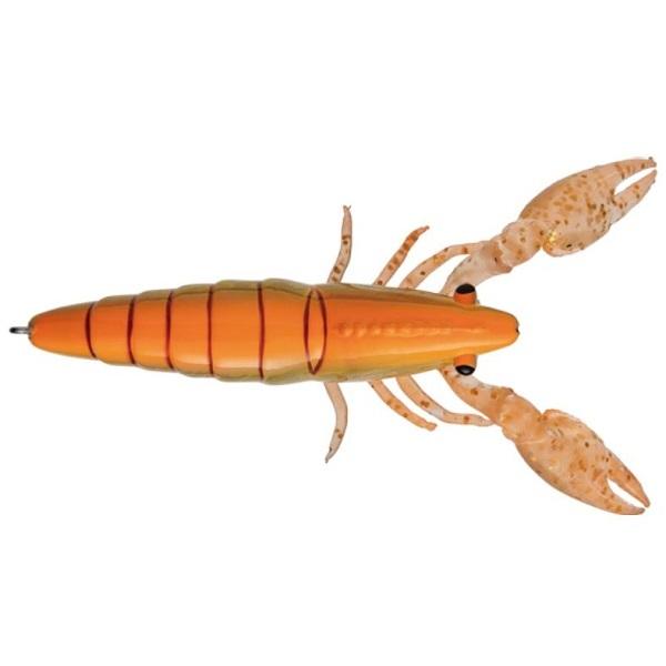 W[Ntg d| vv^RGr #7~JGr