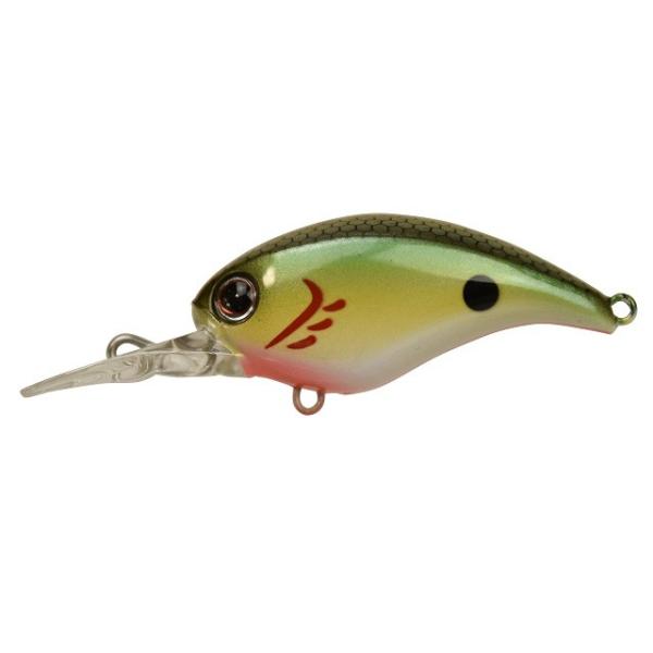 �y�l�R�|�X�Ώەi�zDSTYLE(�f�B�X�^�C��) �N���[���A�b�v(CRAWL-UP) �S�[���f���{���o�[ �o�X���A�[