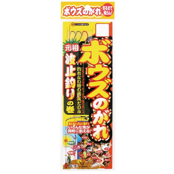  X-001 {EŶ g~ނ̊ r