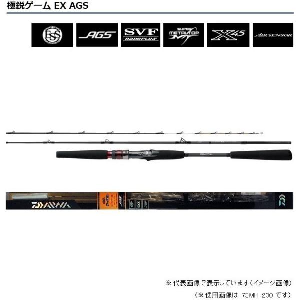 DAIWA（ダイワ） 【訳あり】ダイワ 極鋭ゲーム EX AGS 73MH-230【大型