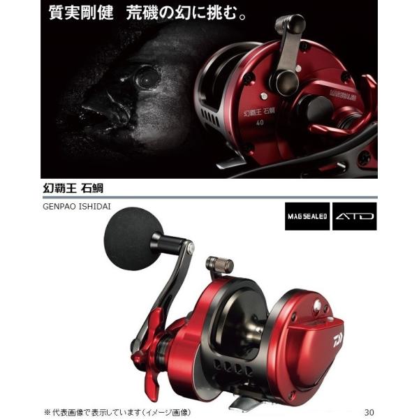 DAIWA（ダイワ） リール 幻覇王 石鯛 30 両軸リール : 釣具の
