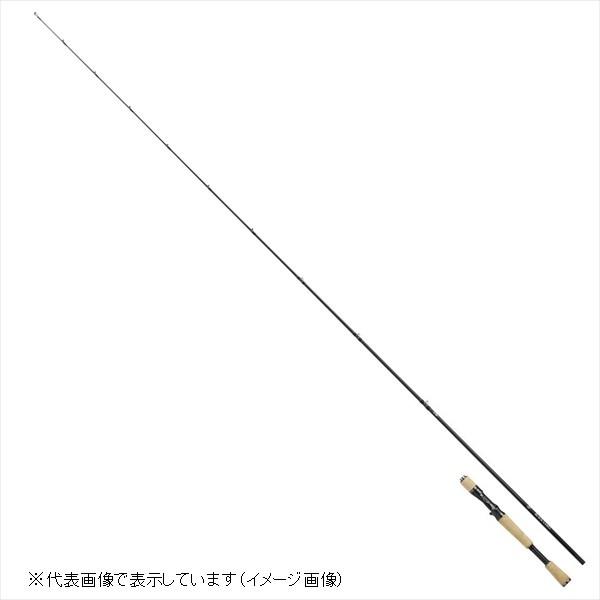 DAIWA（ダイワ） 【訳あり】ダイワ ブラックレーベル BLX LG 6101MLFB