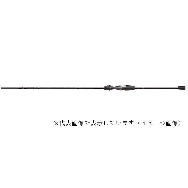 DAIWA（ダイワ） 【訳あり】ダイワ メタリア カワハギ H-171V (1ピース