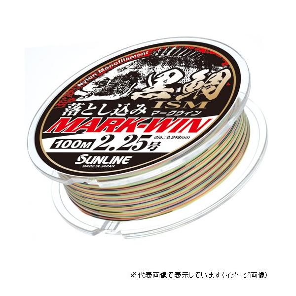 �T�����C�� ����ISM �������� MARK-WIN 100M 2.25�� ���C��